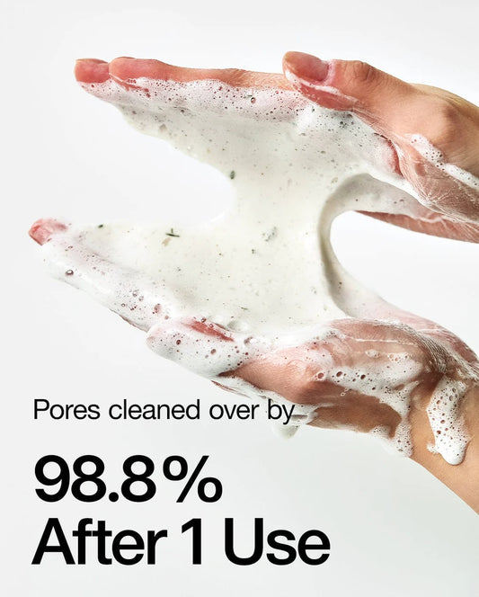 Heartleaf Quercetinol Pore Deep Cleansing Foam cleanser